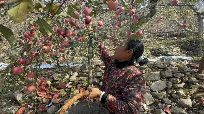 1763086494506912.png 1763086494506912.png