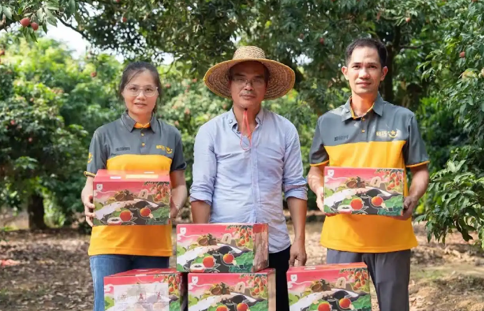 1764223705232525.png 1764223705232525.png