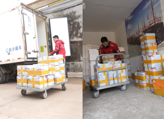 1772248611977258.png 1772248611977258.png