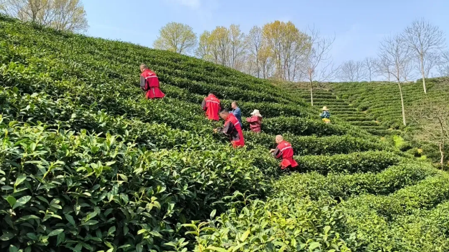 1774491977153550.png 1774491977153550.png