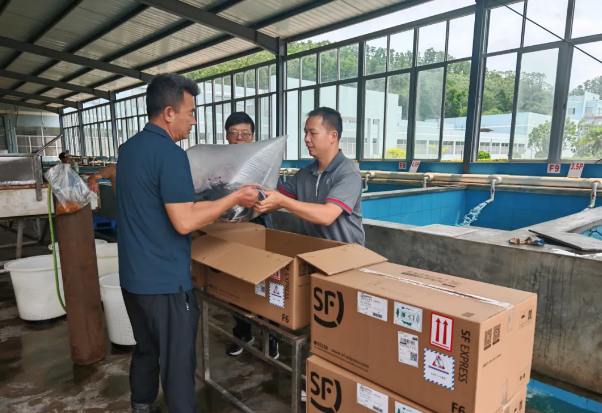 1776145938162114.png 1776145938162114.png